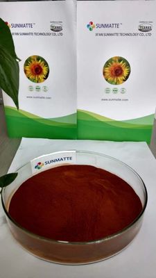 100% Solubility Seaweed Extract Elevate Your Products with Natural Ingredients